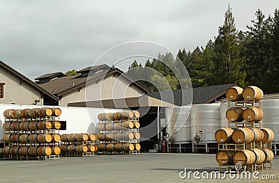 Oak barrels and stainless steel fermentation tanks at the vineyard