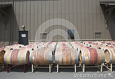 Oak barrels at the vineyard