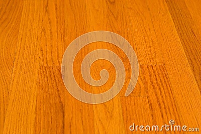 Oak Hardwood Floor