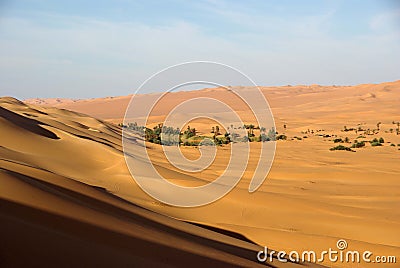 Oasis in Libyan desert
