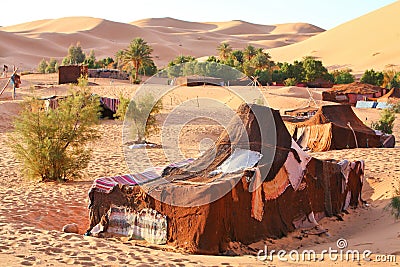 Oasis in Sahara desert