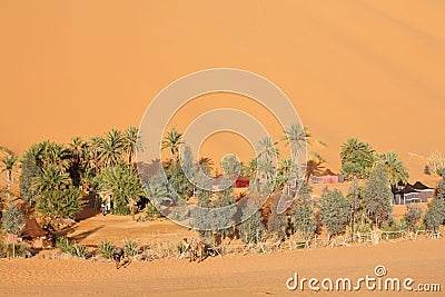 Oasis in Sahara desert