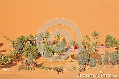 Oasis in Sahara desert