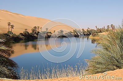 Oasis, Sahara Desert