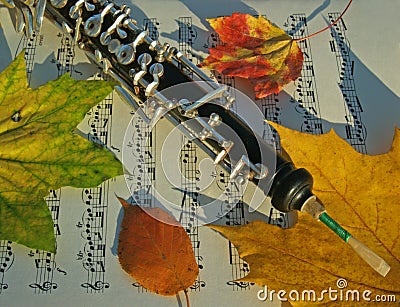 Oboe, Autumn Leaves & Music Page