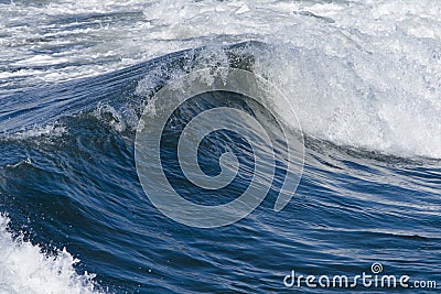 Ocean Surf and Waves