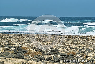 Ocean surf waves roll on the rocky beach