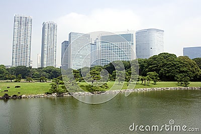 Office buildings surrounding Japanese garden