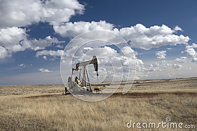Oil drill