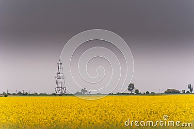 Oil and gas well rig, outlined rural canola field