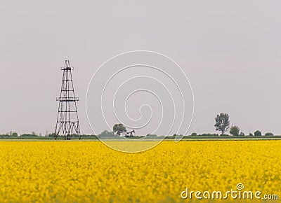 Oil and gas well rig, outlined rural canola field
