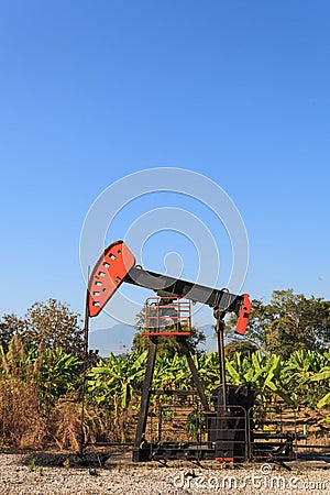 Oil Pump Jack (Sucker Rod Beam) in The Banana Field on Sunny Day