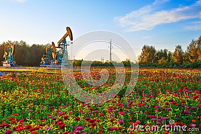 Oil pumping machine on garden