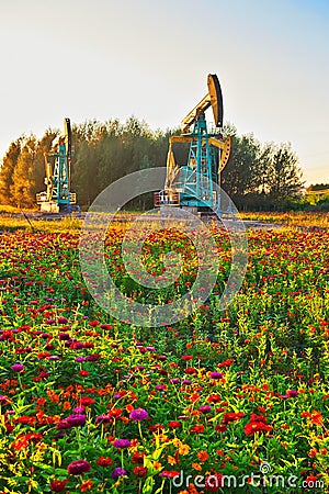 Oil pumping machine on grassland