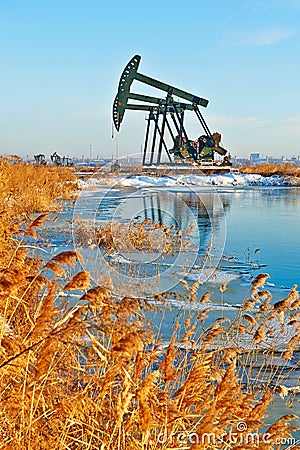 The oil sucking machine and reed snow lakeside