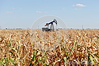 Oil well and corn field