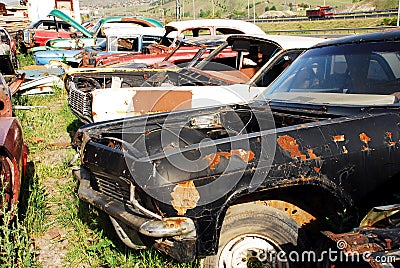 Old abandoned cars