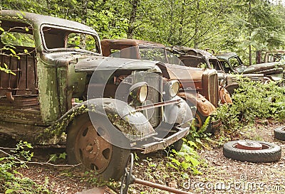 Old abandoned cars at Opal Creek Mining Town.