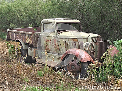 Old abandoned rusty farm truck in bush.