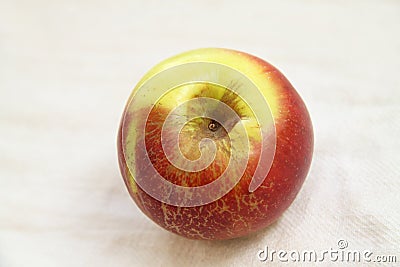 Old apple