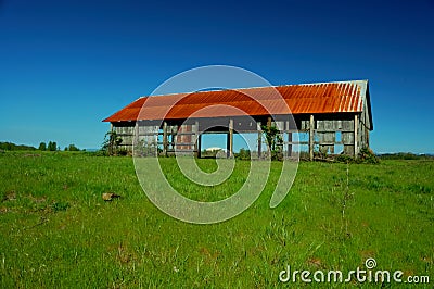 Old Barn in Field