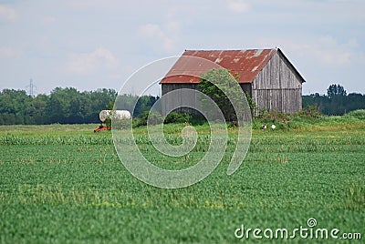 Old barn in the field