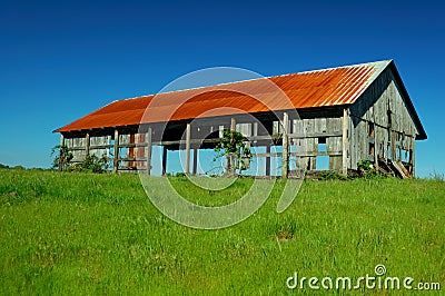 Old Barn In Grass Field