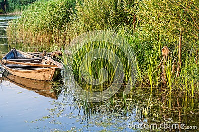Old boat near the shore of the river