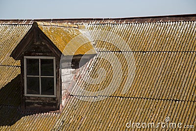 Old corrugated metal roof with moss and rust clear sky