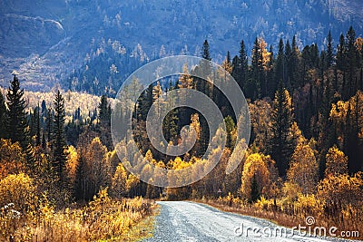 Old country road in autumn mountain forest