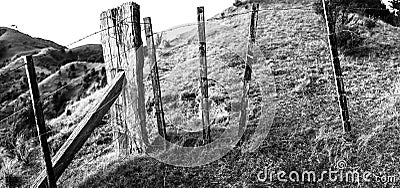 Old Farm Fence