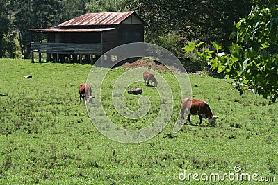 Old Farm House