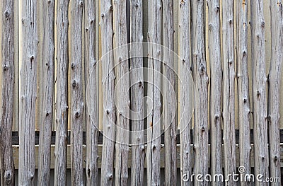 Old fence poles. Abstract background