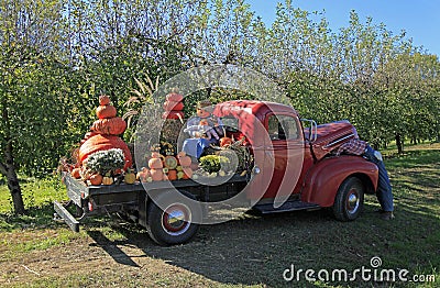 Old Ford truck in Hendersonville