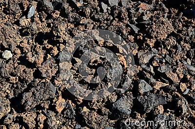 Old Lava Stones