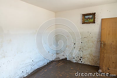 Old Living Room Destroyed From Flood