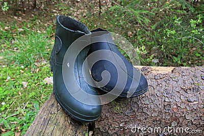 Old lost gum boots