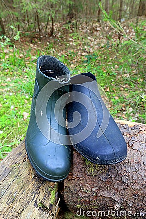 Old lost gum boots on wooden log