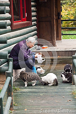 Old man feeding the stray cats in the park