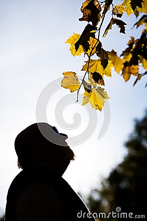 Old man in the park