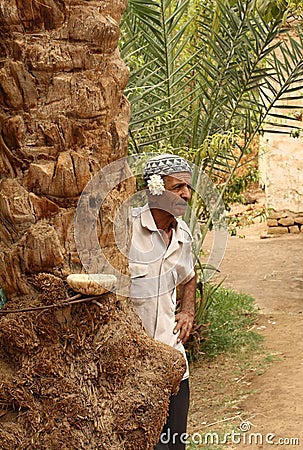 Old man resting near a palm tree in a desert oasis