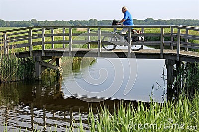 An old man riding a bicycle in polder landscape