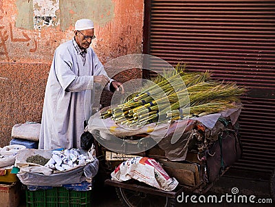 Old Moroccan man selling herbs