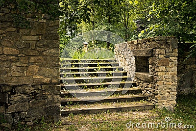 Old overgrown stone stairs in the park