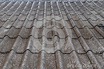 Old roof texture