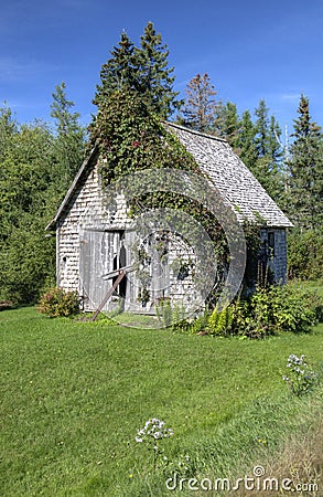 Old Shed