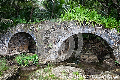 Old stone bridge in the jungle