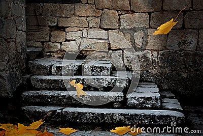 Old stone staircase with fallen leaves