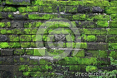 Old stone wall with green moss