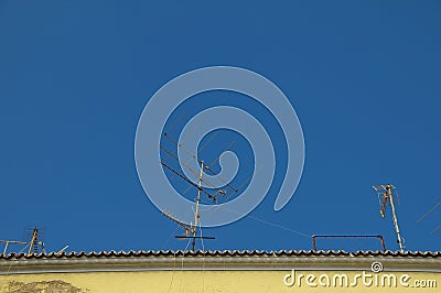 Old television antenna